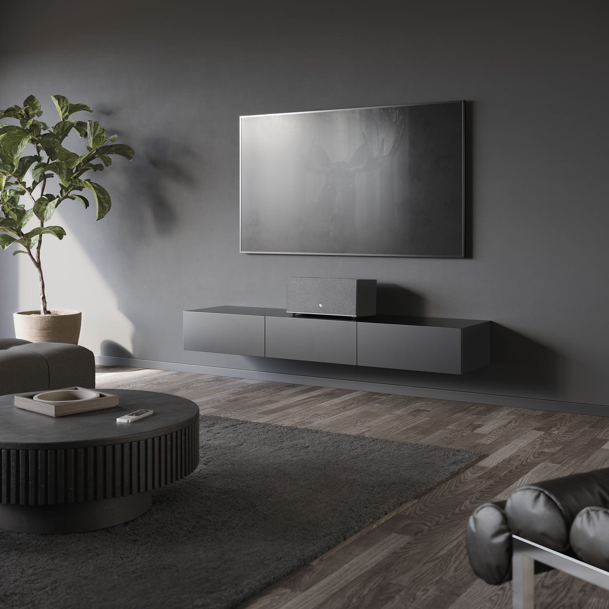 C20 W - Audio Pro - The New Sound