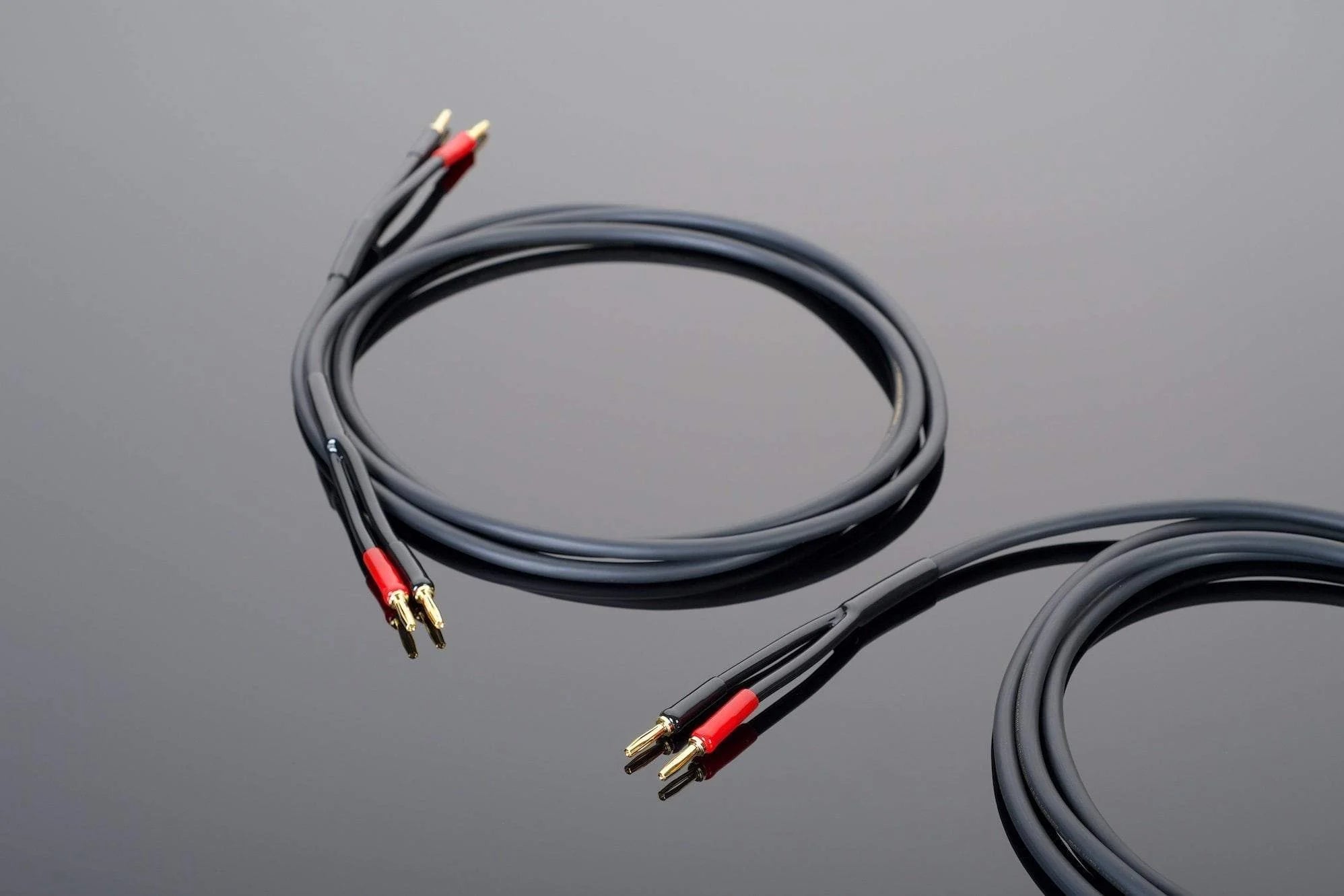 Hardwired Luidspreker Kabel / Paar - Transparant - The New Sound