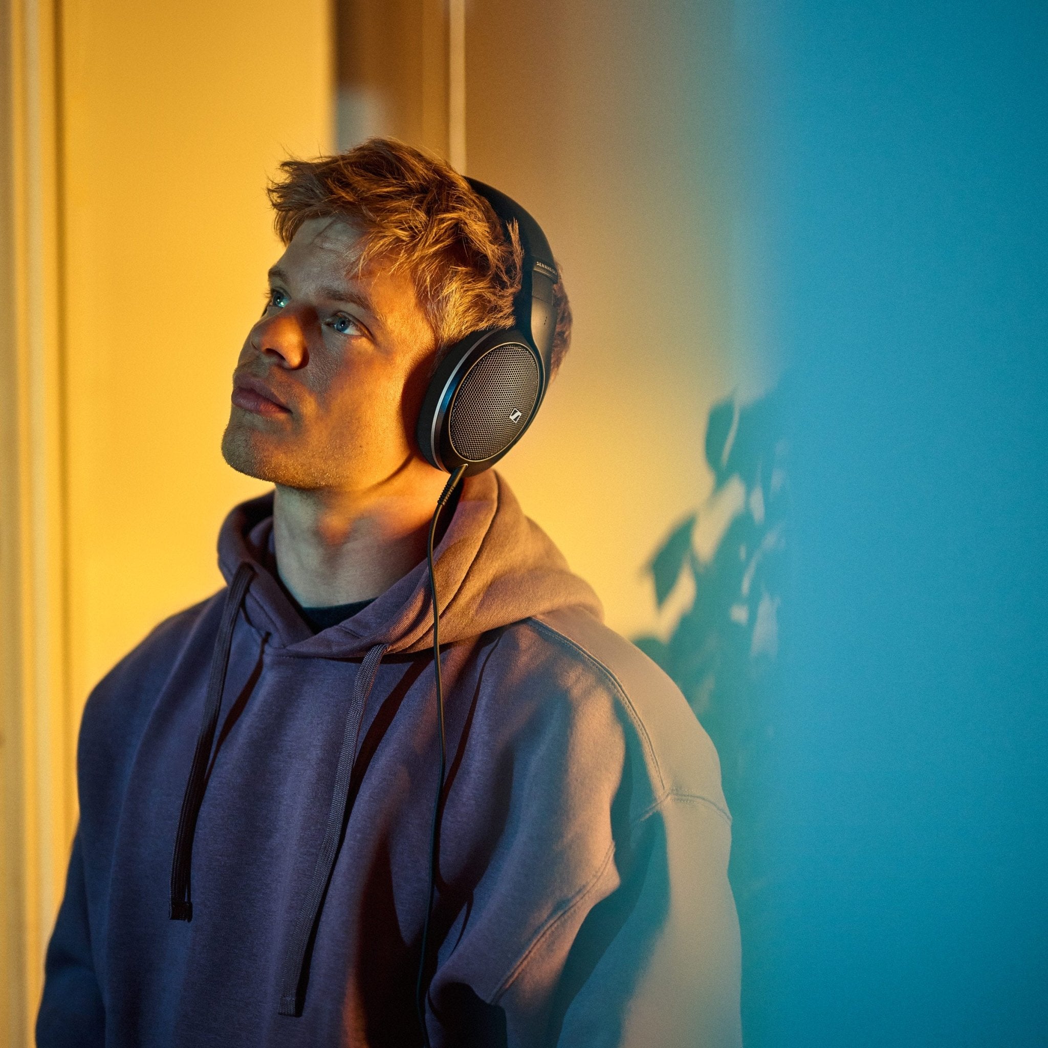 HD 550 - Sennheiser - The New Sound