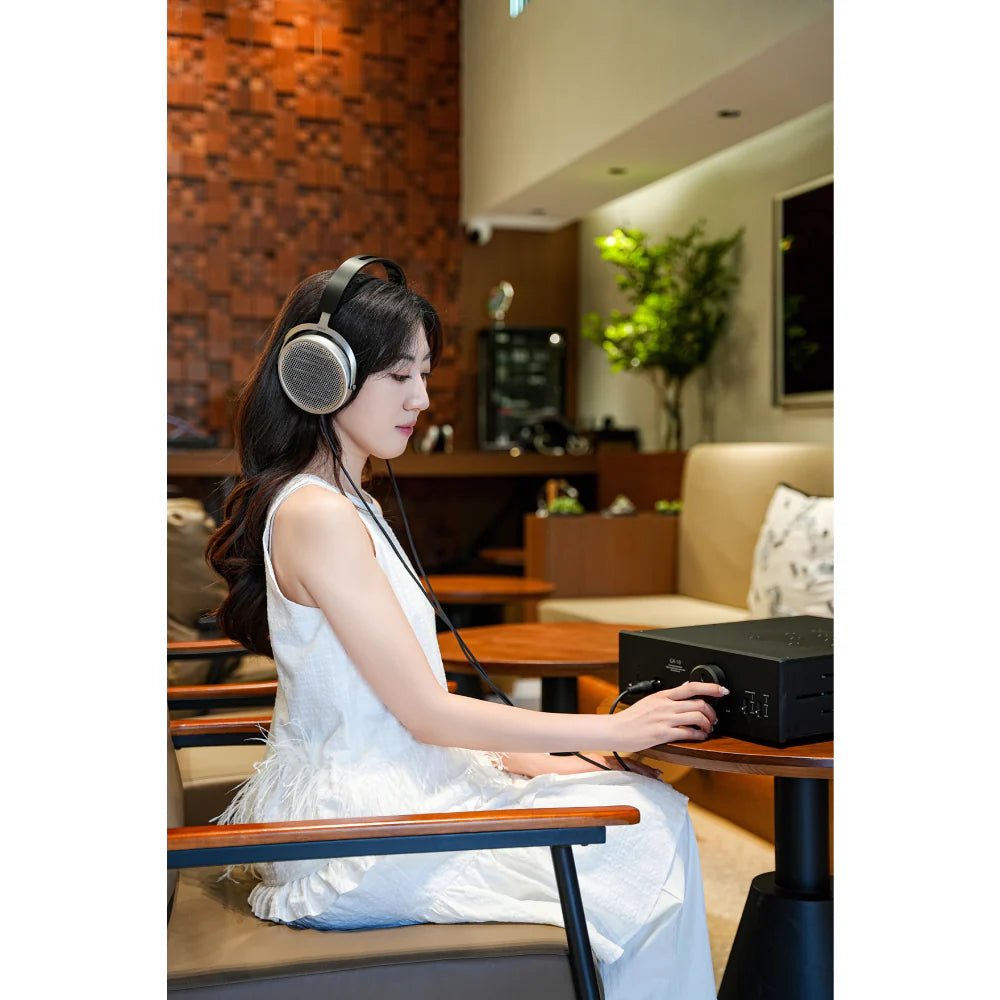 HE600 - Hifiman - The New Sound