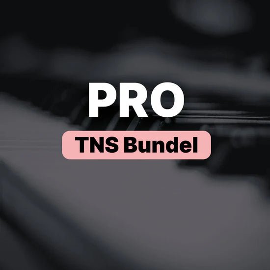 Head - Fi Bundel Draagbaar AMP Draadloos IEM Pop - Pro - Keuzehulp Advies - The New Sound