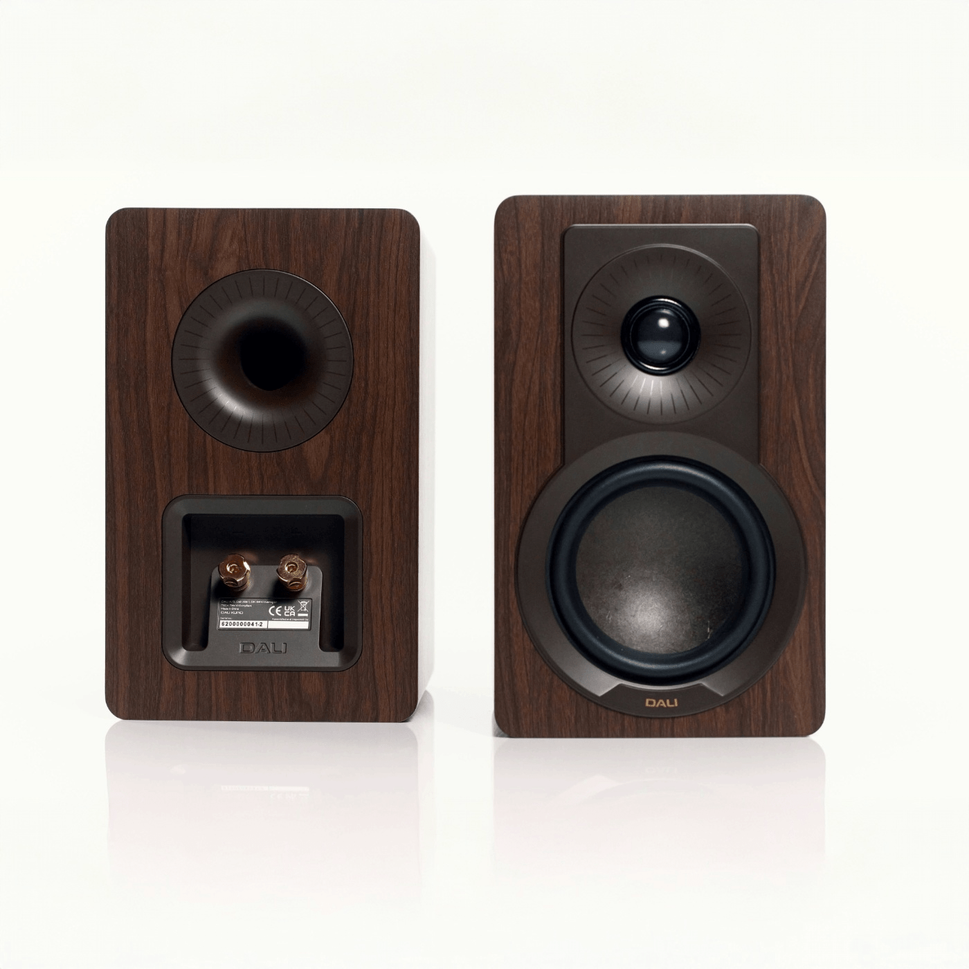 Kupid - Dali - The New Sound