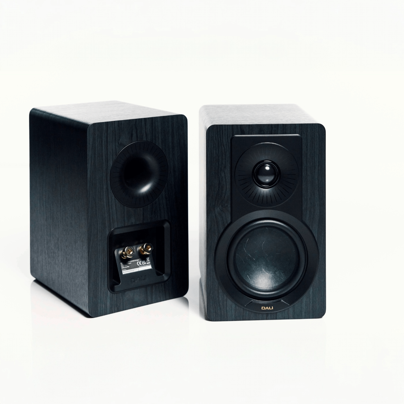 Kupid - Dali - The New Sound