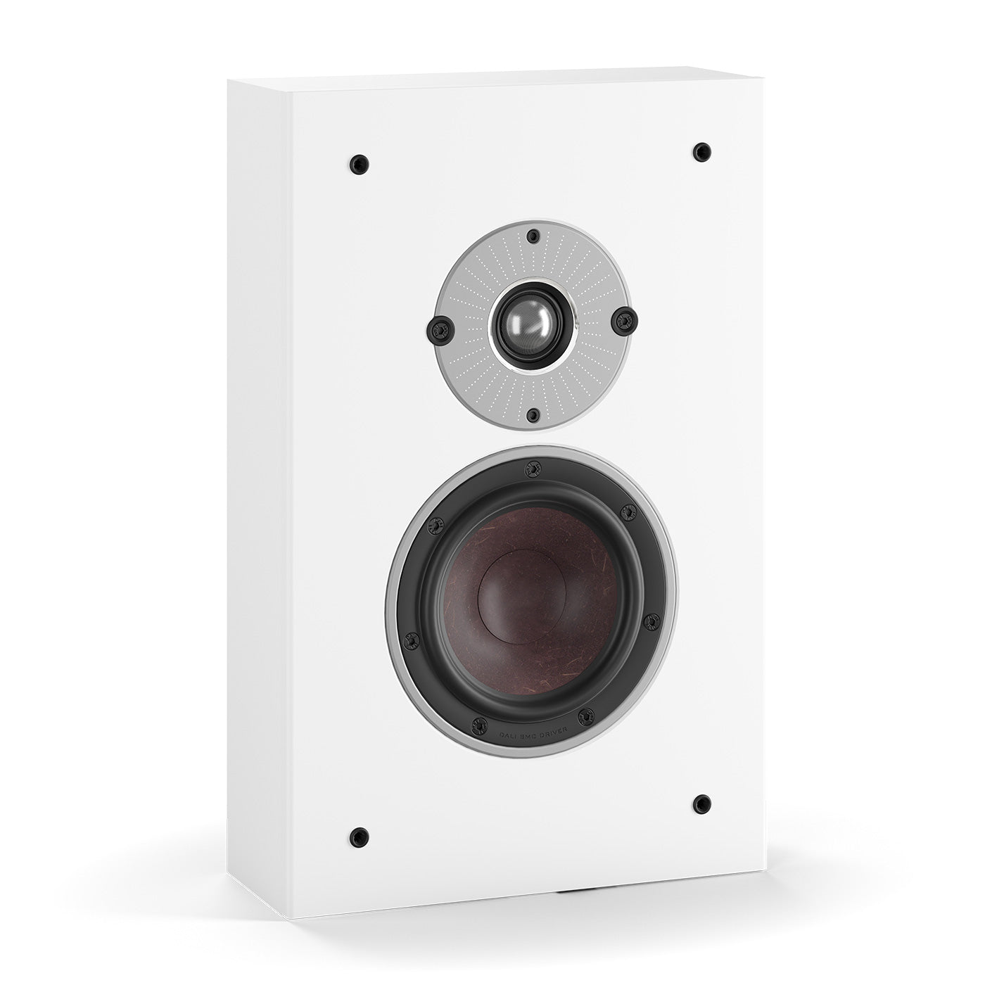 Oberon On - Wall - Dali - The New Sound