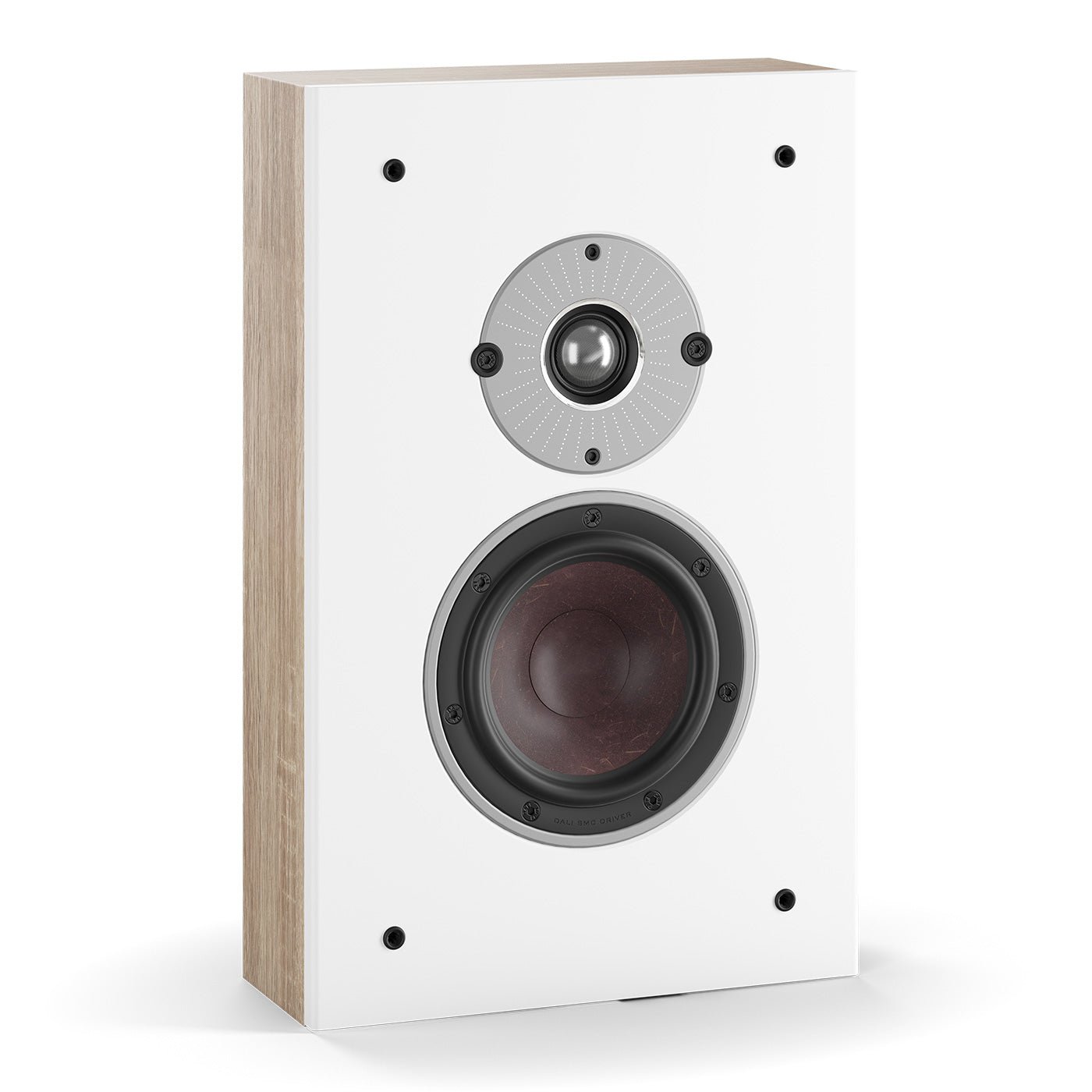 Oberon On - Wall - Dali - The New Sound