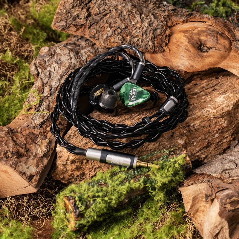 Portazo - Punch Audio - The New Sound