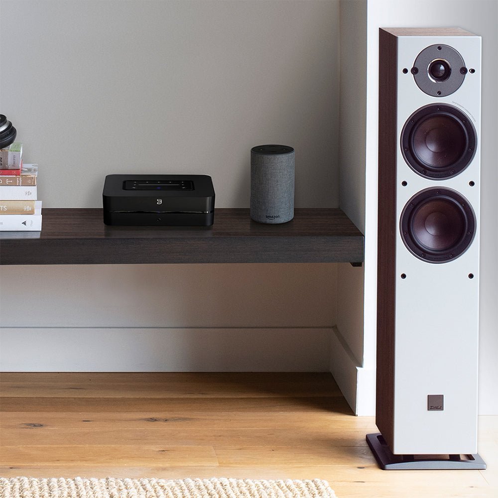 Powernode N330 - Bluesound - The New Sound