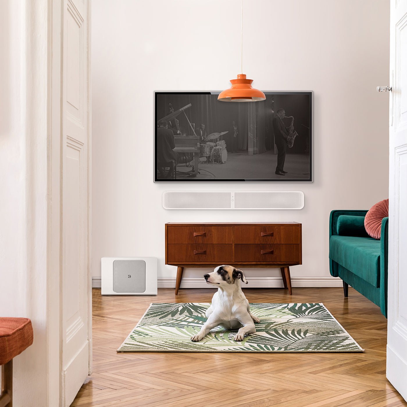 Pulse Sub+ - Bluesound - The New Sound