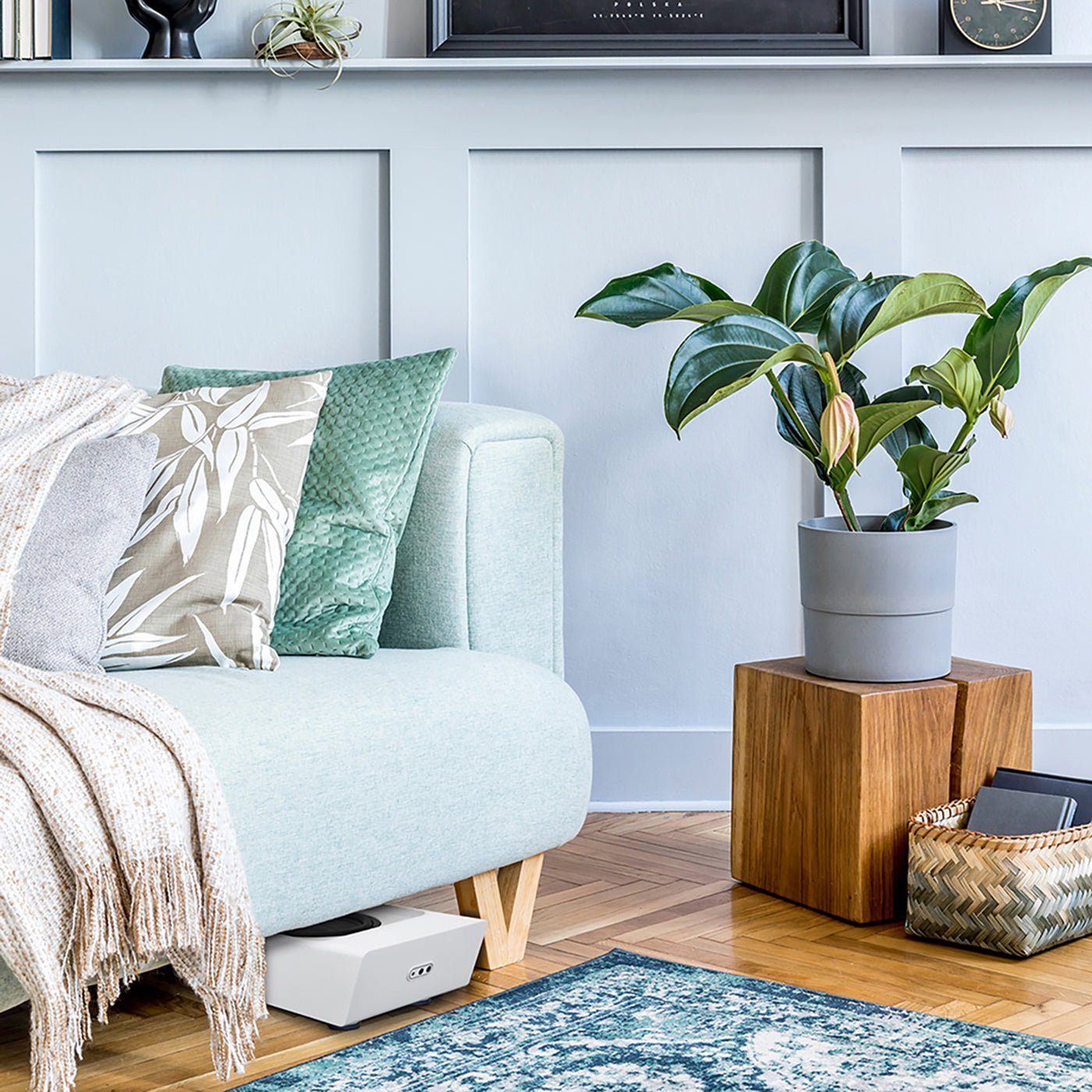 Pulse Sub+ - Bluesound - The New Sound