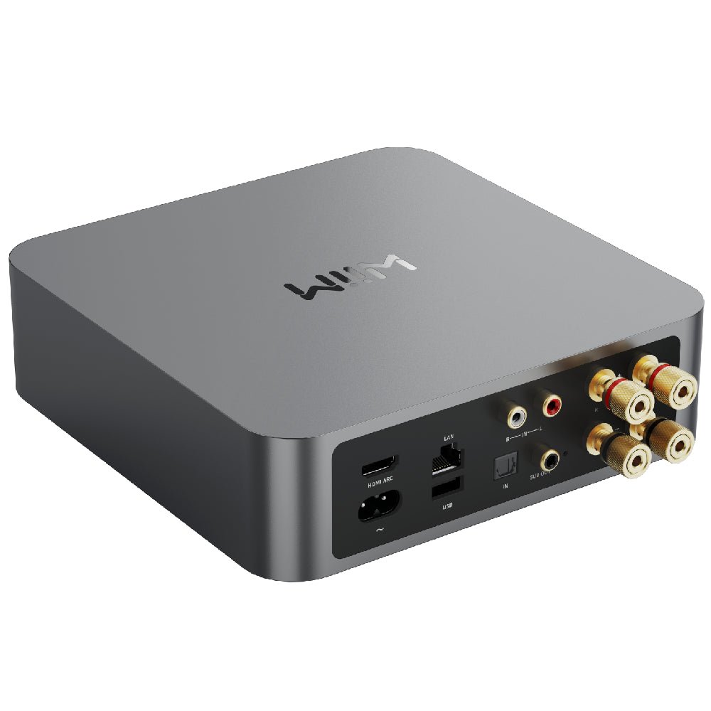 WiiM Amp - WiiM - The New Sound