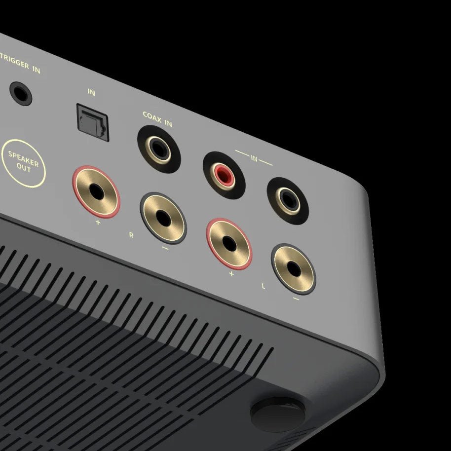 WiiM VibeLink Amp - WiiM - The New Sound