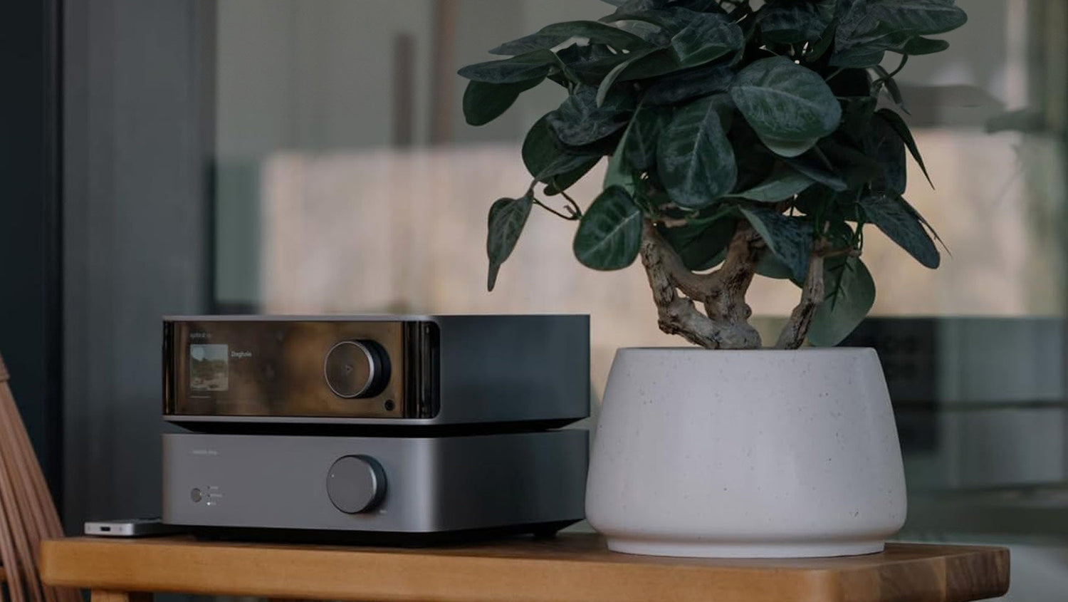 WiiM Vibelink – Eindversterker voor de Nieuwe Generatie Muziek liefhebbers - The New Sound
