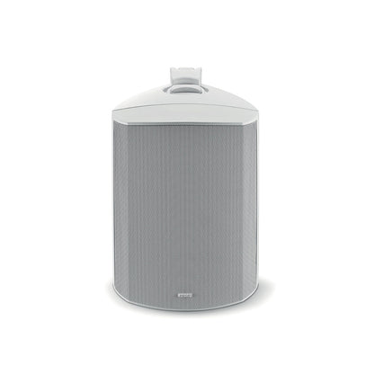 100 OD - 6T - tekst - Focal - The New Sound