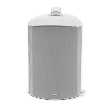 100 OD - 8T - tekst - Focal - The New Sound