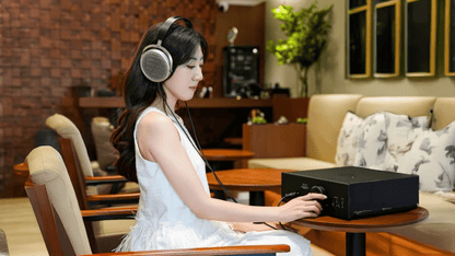 2e Kans Hifiman HE600 - Hifiman - The New Sound