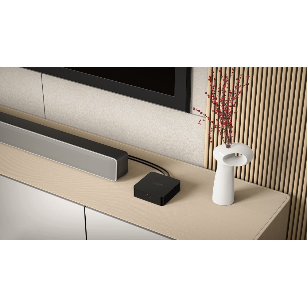 2e Kans WiiM Pro - WiiM - The New Sound