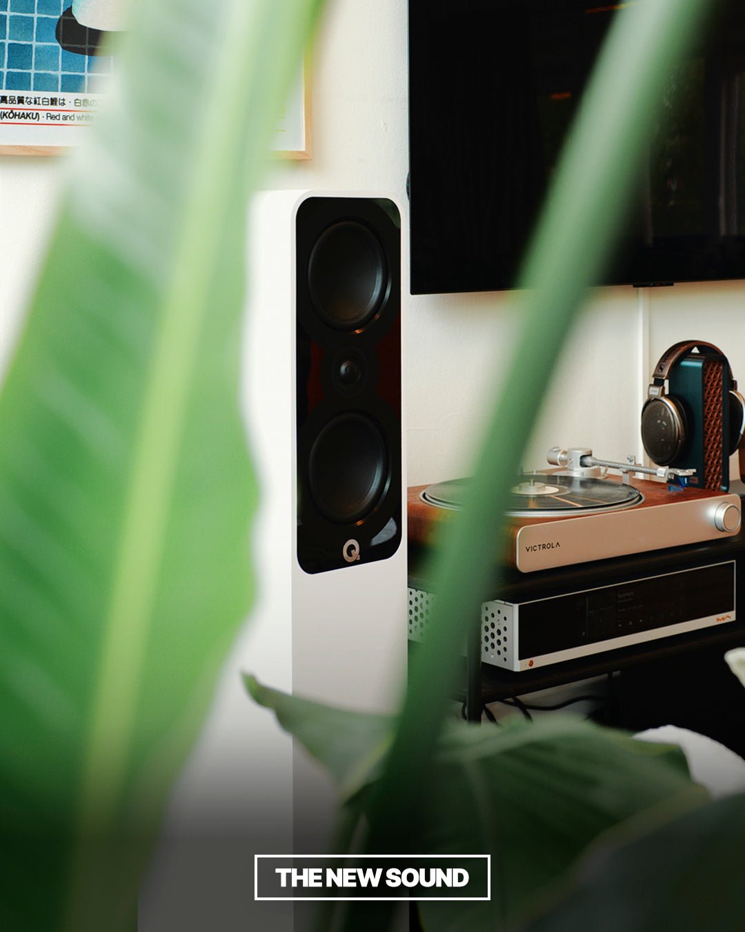 5040 / Paar - Qacoustics - The New Sound