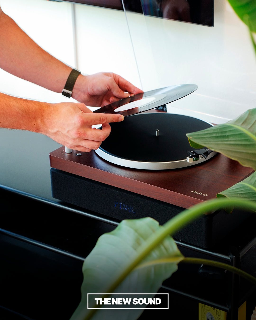 Aulo Mod 1 - Aulo - The New Sound