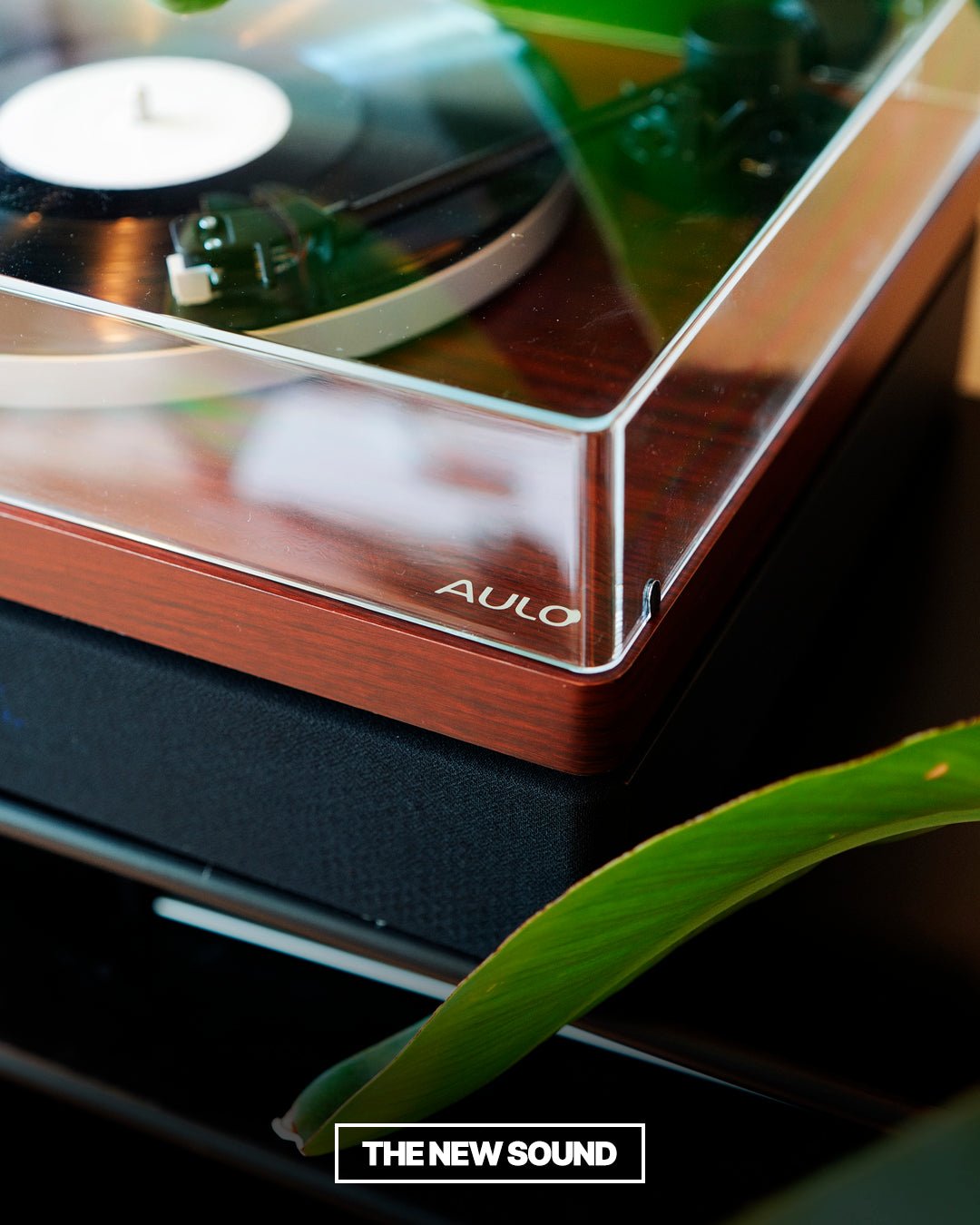 Aulo Mod 1 - Aulo - The New Sound
