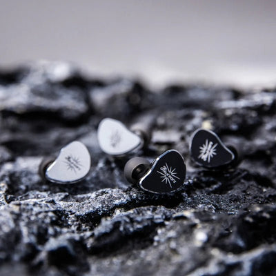 Belle - Kiwi Ears - The New Sound