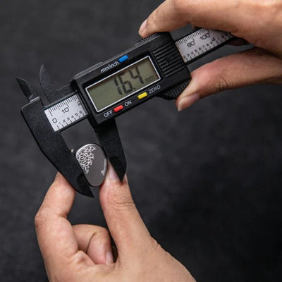 Cadenza II - Kiwi Ears - The New Sound