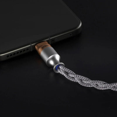 E13P Memory - DDHIFI - The New Sound