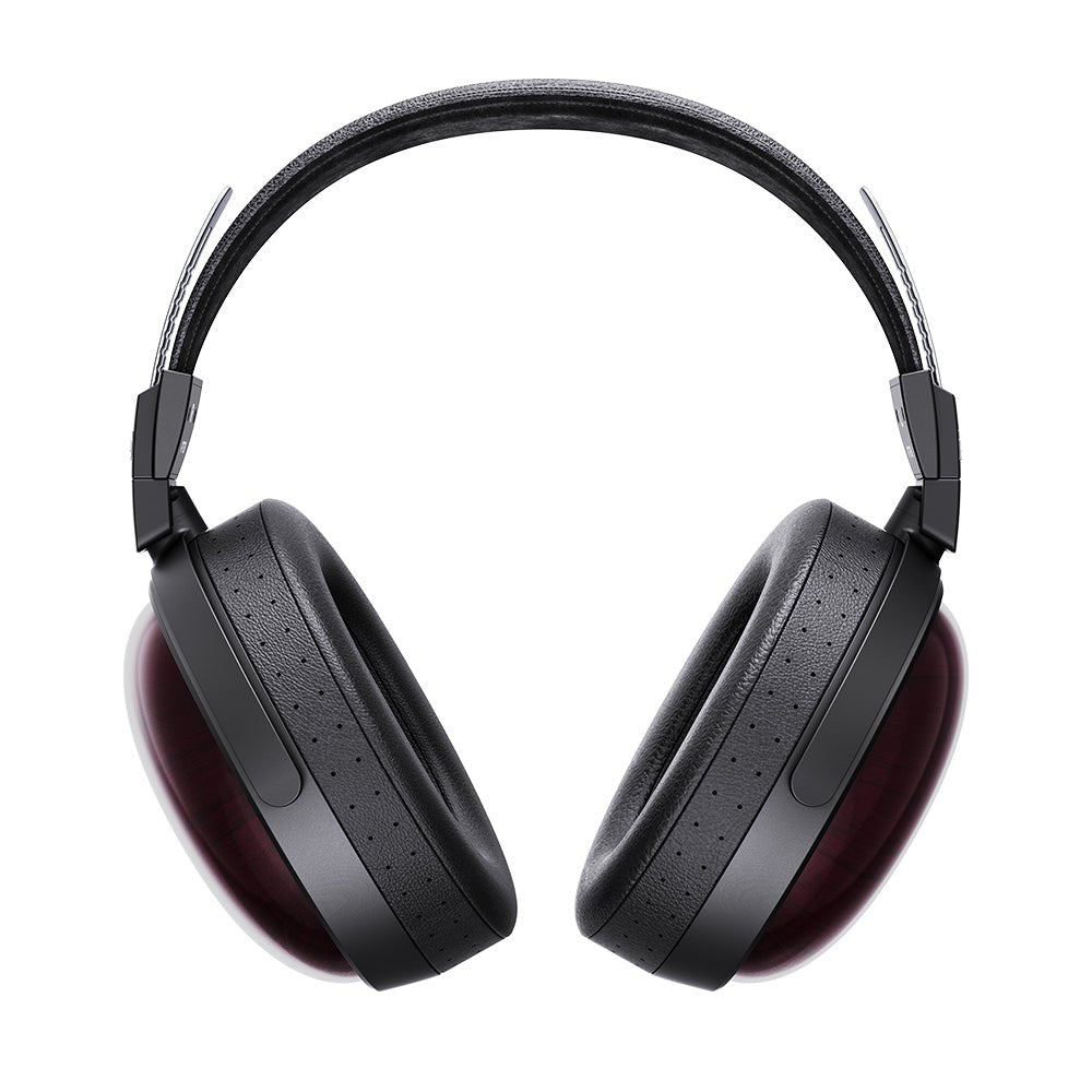 FT13 - FiiO - The New Sound