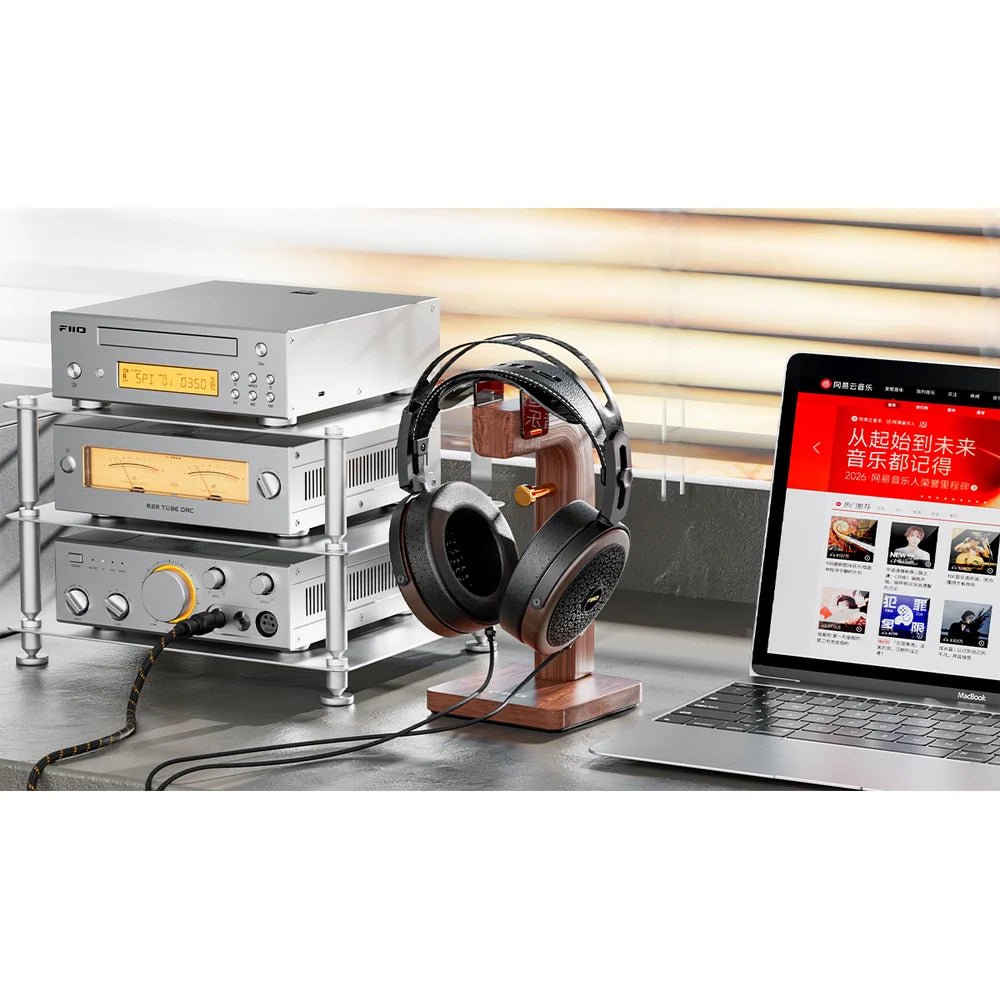 FT15 - FiiO - The New Sound