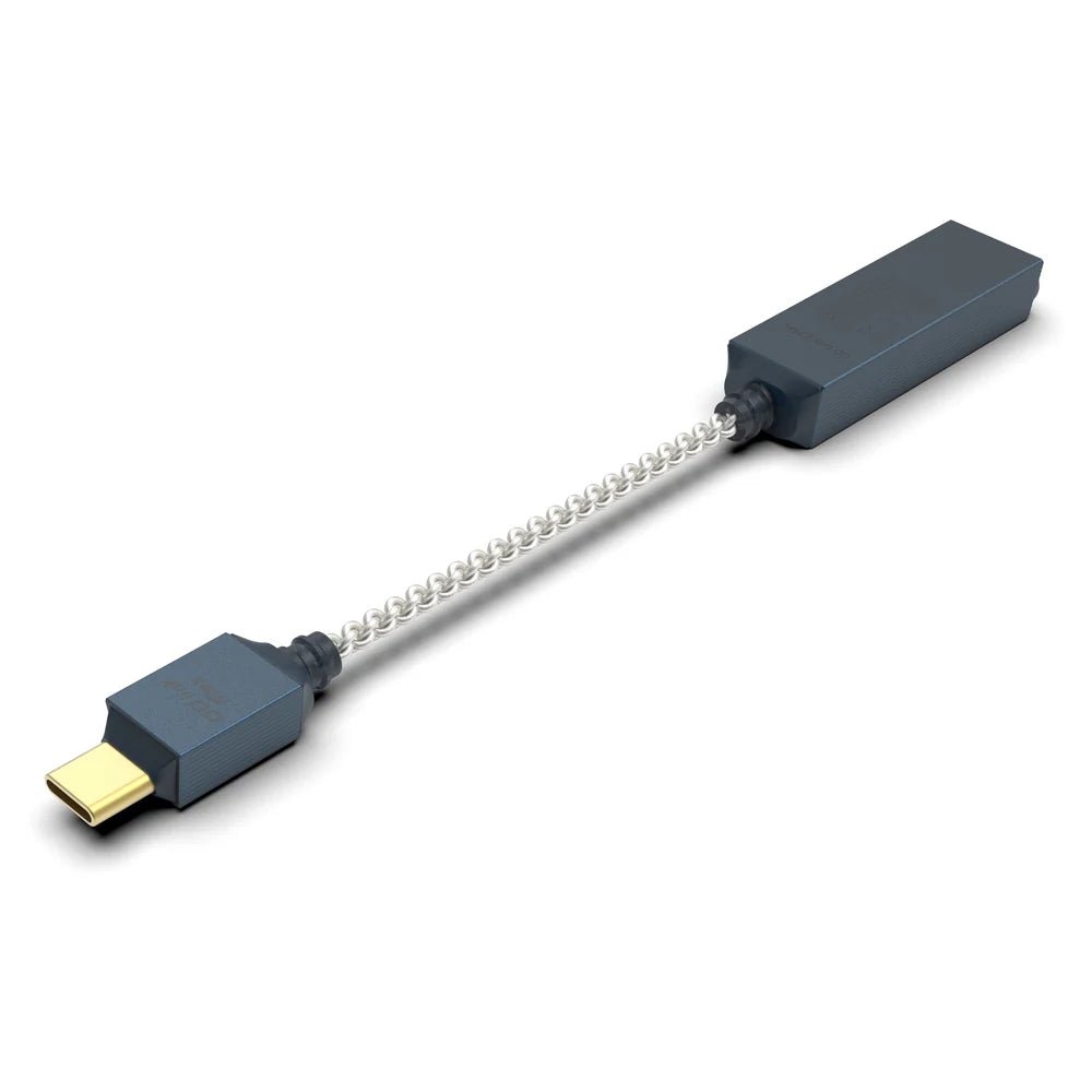GO link 2 Max - iFi Audio - The New Sound