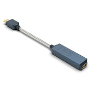 GO link 2 Max - iFi Audio - The New Sound