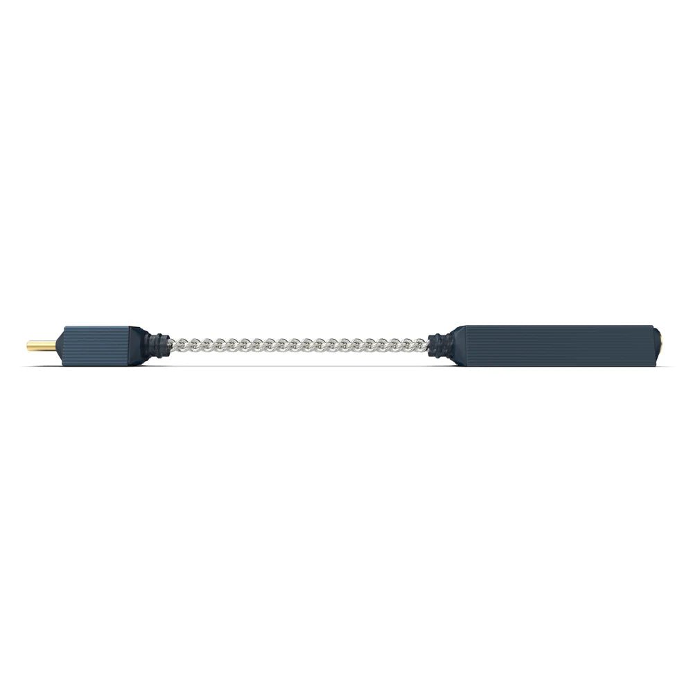 GO link 2 Max - iFi Audio - The New Sound
