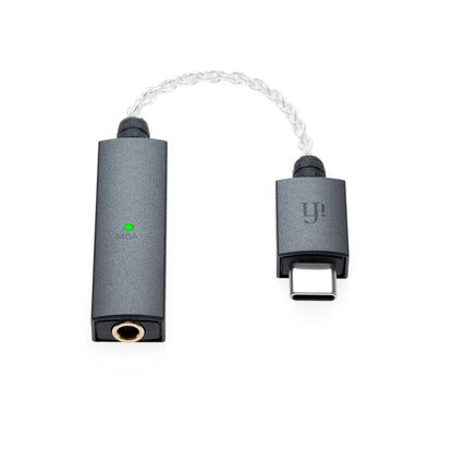 Go Link - iFi Audio - The New Sound