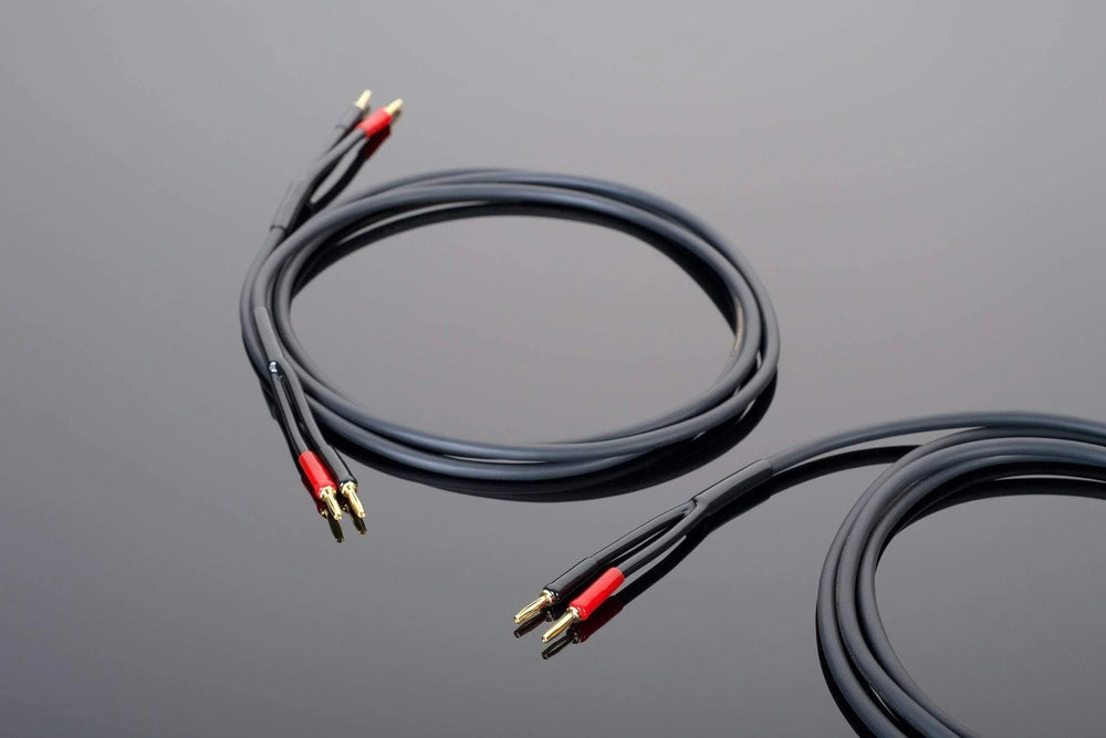 Hardwired Luidspreker Kabel / Paar - Transparant - The New Sound