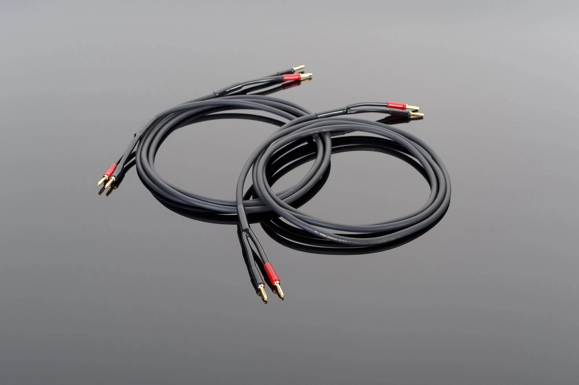 Hardwired Luidspreker Kabel / Paar - Transparant - The New Sound