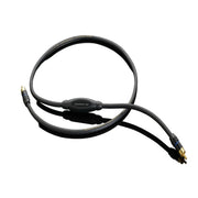 Link RCA Interlink - Transparent - The New Sound