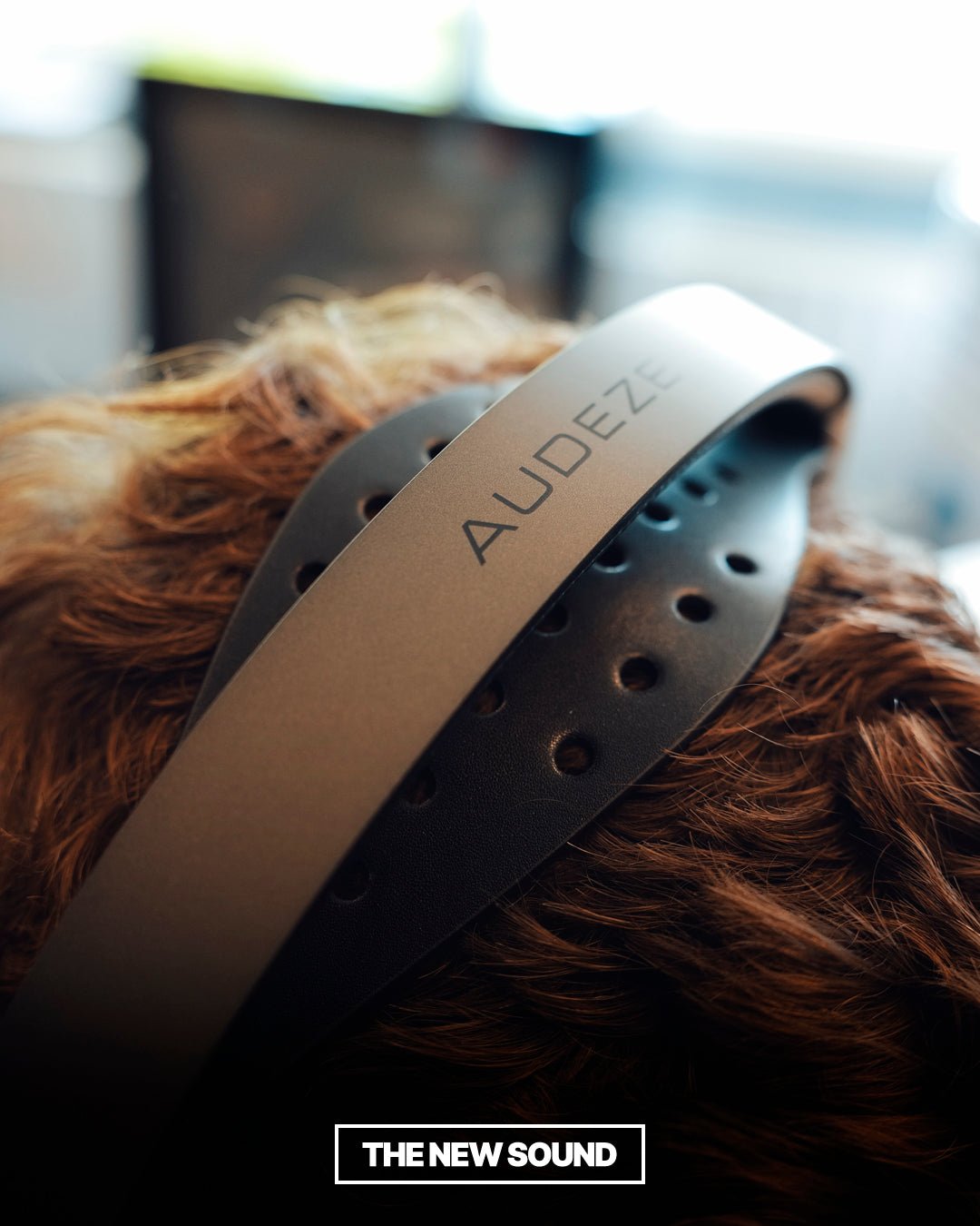Maxwell 2 - Audeze - The New Sound
