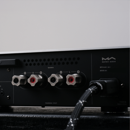 MD - 1 - Matrix Audio - The New Sound