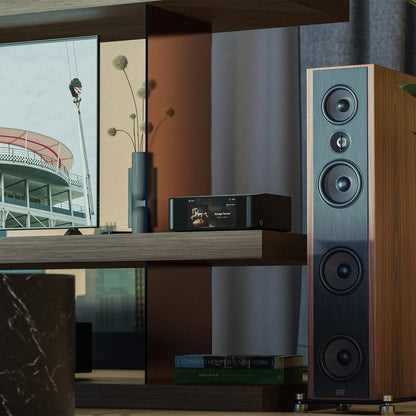 Node Icon (N530) - Bluesound - The New Sound