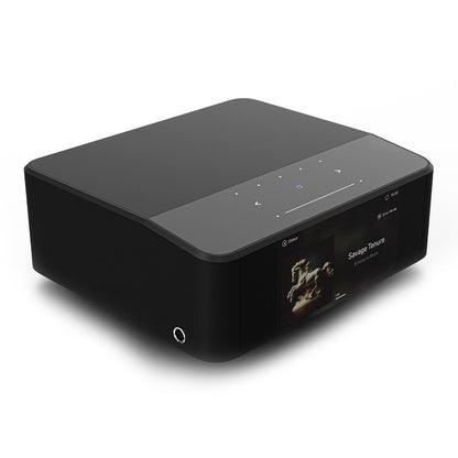 Node Icon (N530) - Bluesound - The New Sound