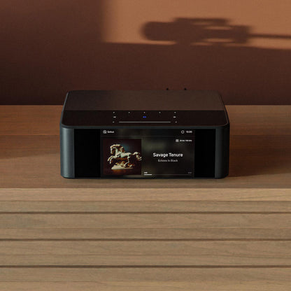 Node Icon (N530) - Bluesound - The New Sound