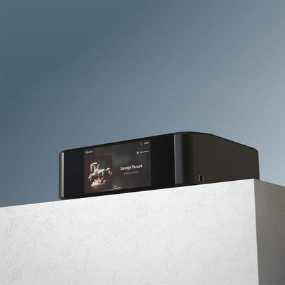 Node Icon (N530) - Bluesound - The New Sound