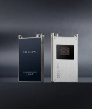 PB6 Macaw - iBasso - The New Sound