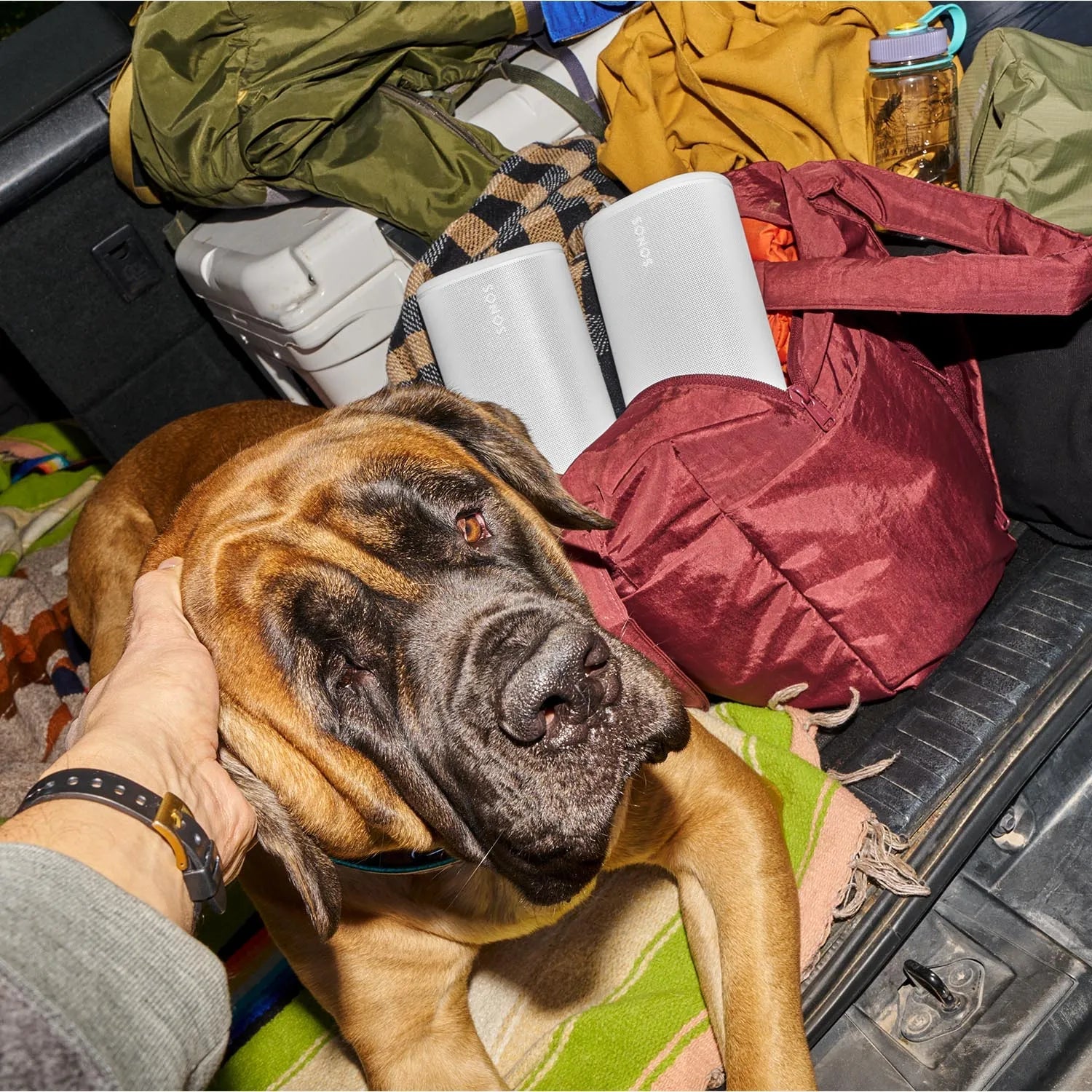 Play - Sonos - The New Sound