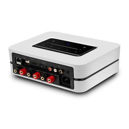 Powernode (N331) - Bluesound - The New Sound