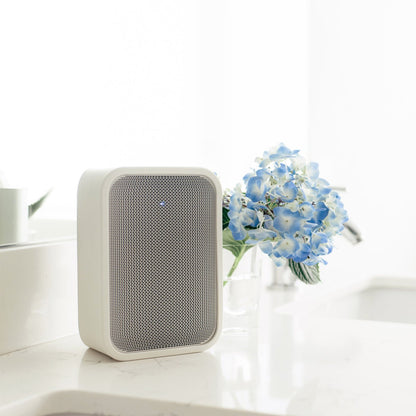Pulse Flex 2i - Bluesound - The New Sound