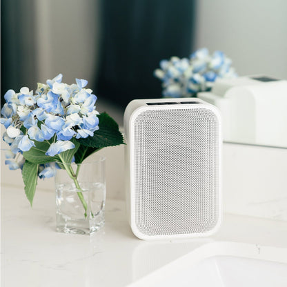 Pulse Flex 2i - Bluesound - The New Sound