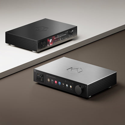 RS451 - Hifi Rose - The New Sound