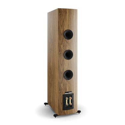 Rubikore 8 - Dali - The New Sound