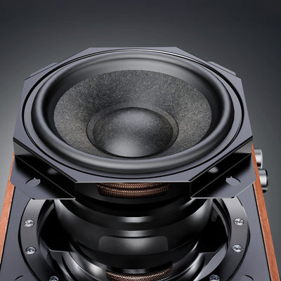 SA1 - FiiO - The New Sound