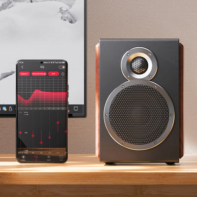 SA1 - FiiO - The New Sound